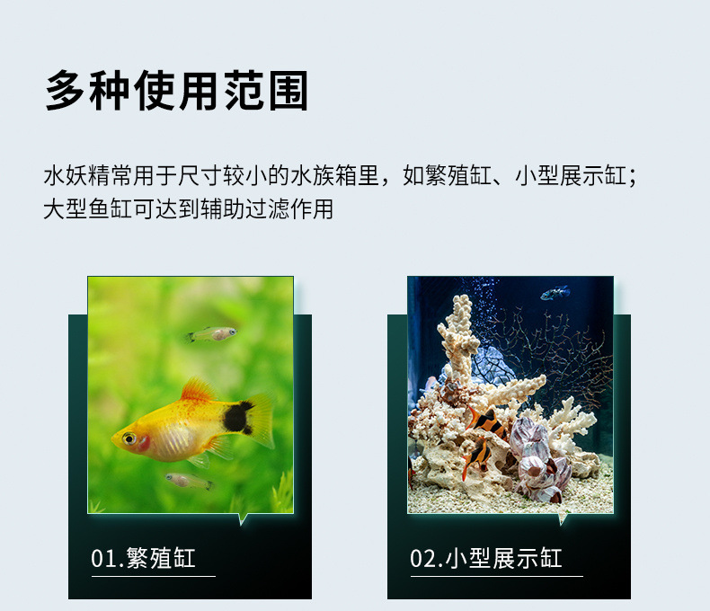 d28b2de9-fc93-4ff0-9467-3d55f2a663e1.jpe