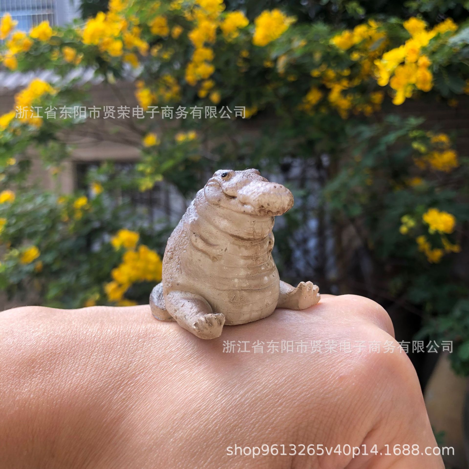 微信图片_20240529123331