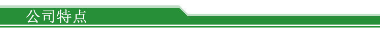 公司特点