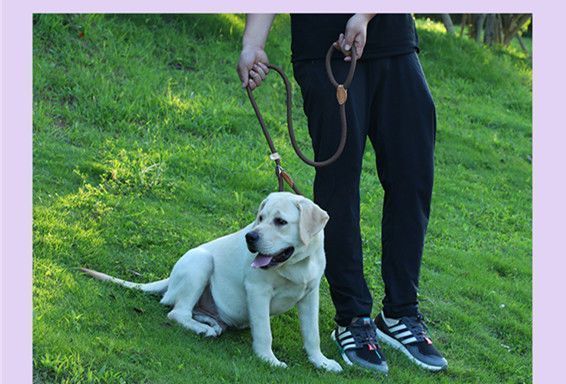 0f2c2e19-1f45-48a8-a450-360fd5c2a406.jpe