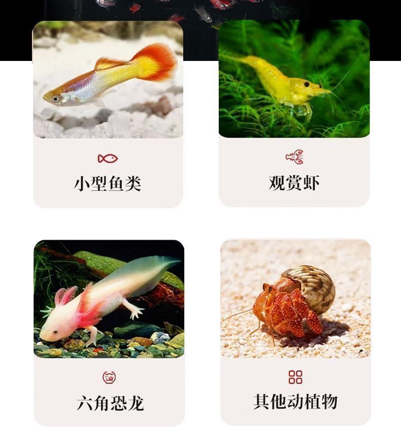 ea83c219-1a80-4c82-a2da-c692859b5209.jpe