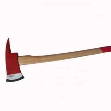 2024-01-29 13:10:15.jpg