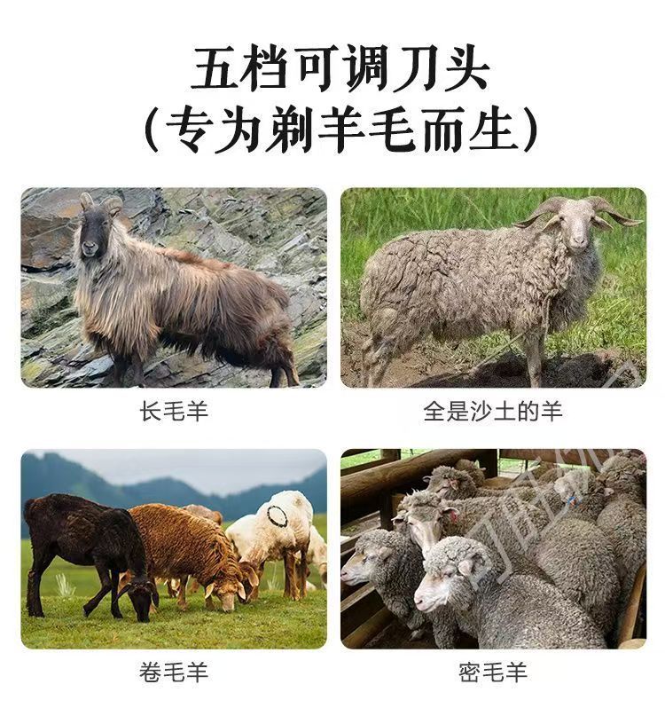 微信图片_20250213111313