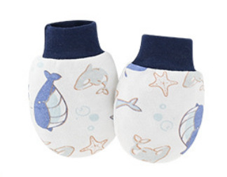 截图20240620154816