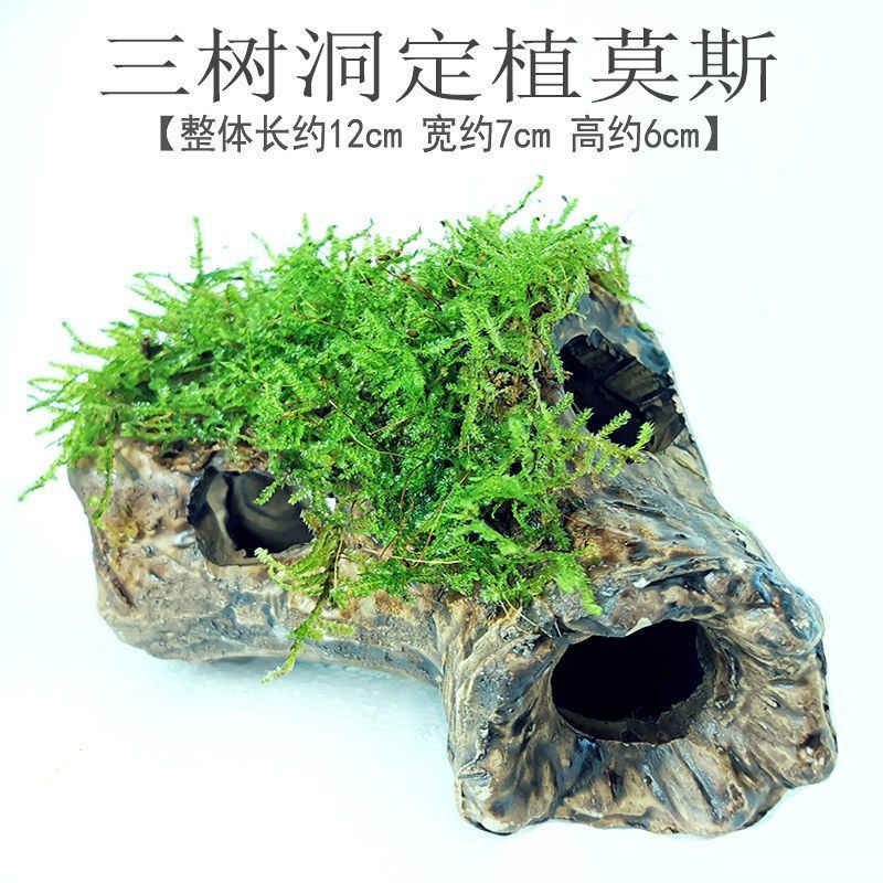 f480b799-670b-4948-80fe-8842bf235334.jpe