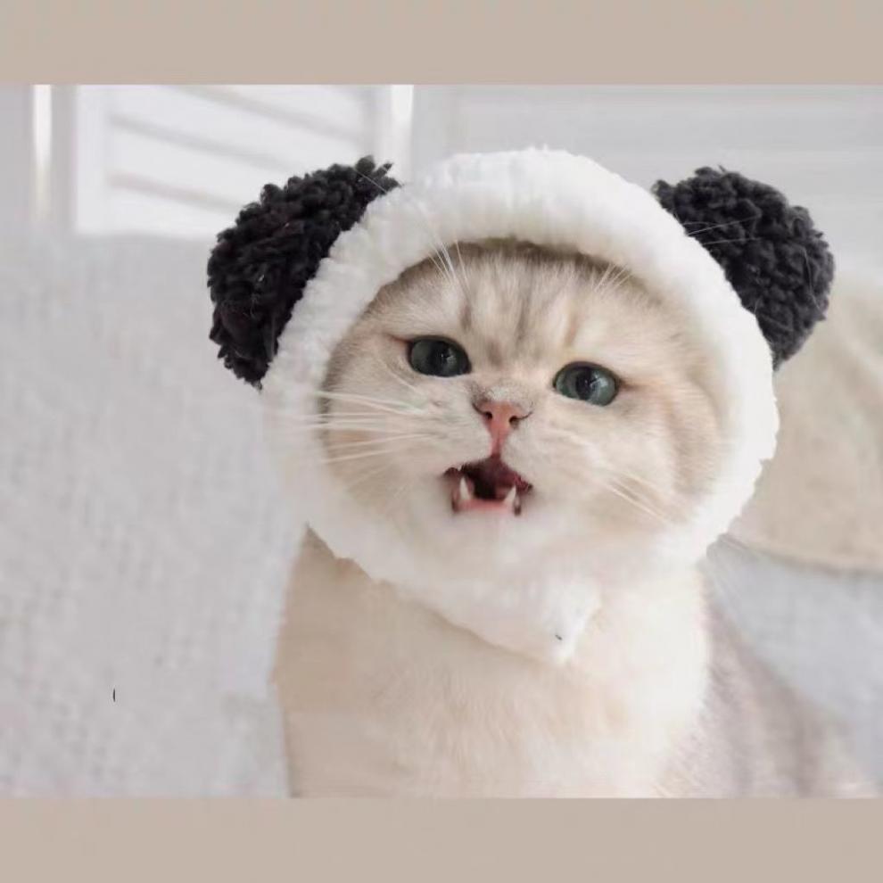 27036d56-3201-43cf-b40f-db8b454edb71.jpe