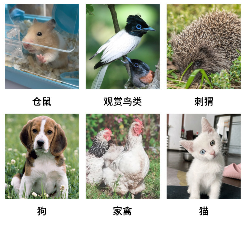 a2301d56-5121-46f7-9e59-eeccb55fb600.jpe