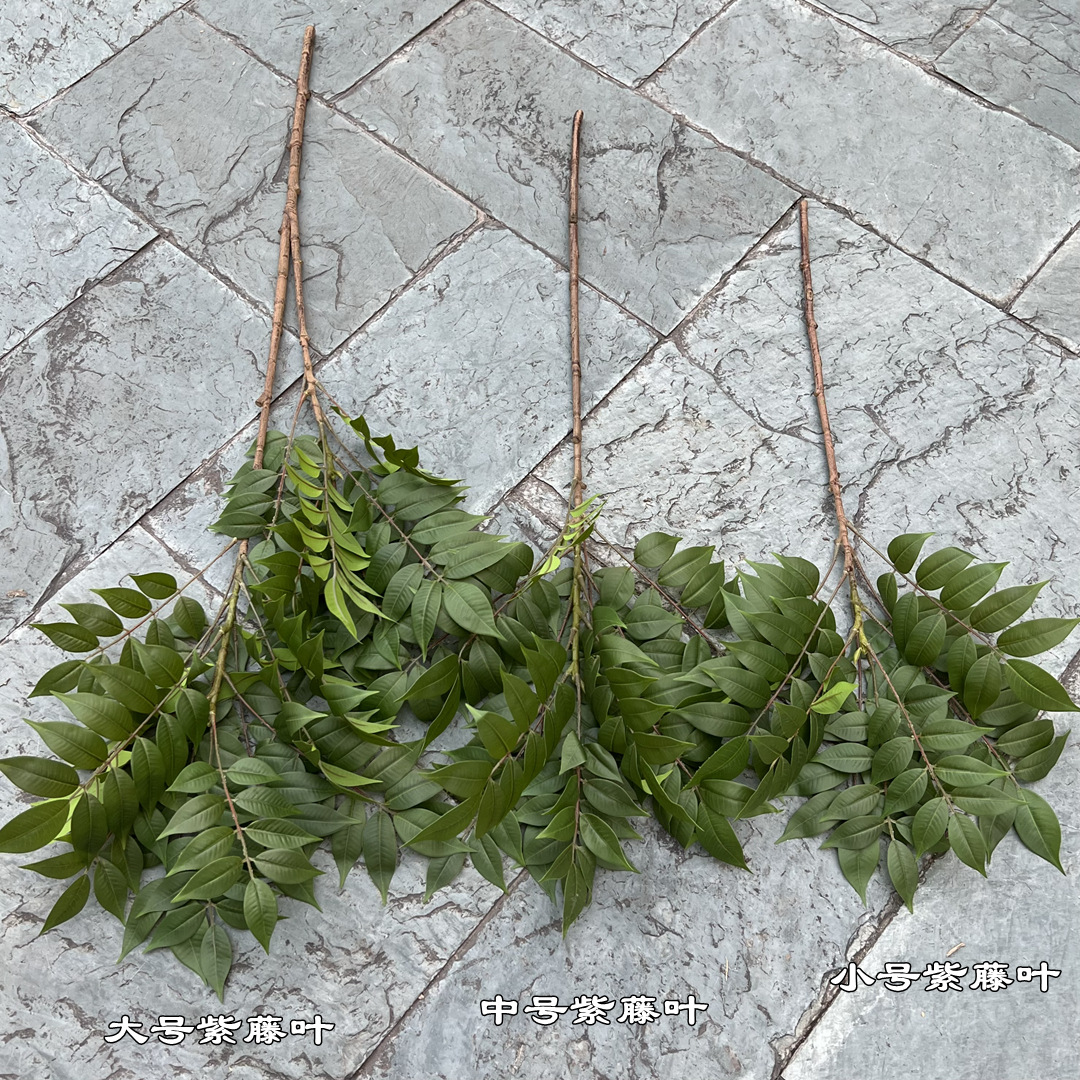 微信图片_20230323180104_副本