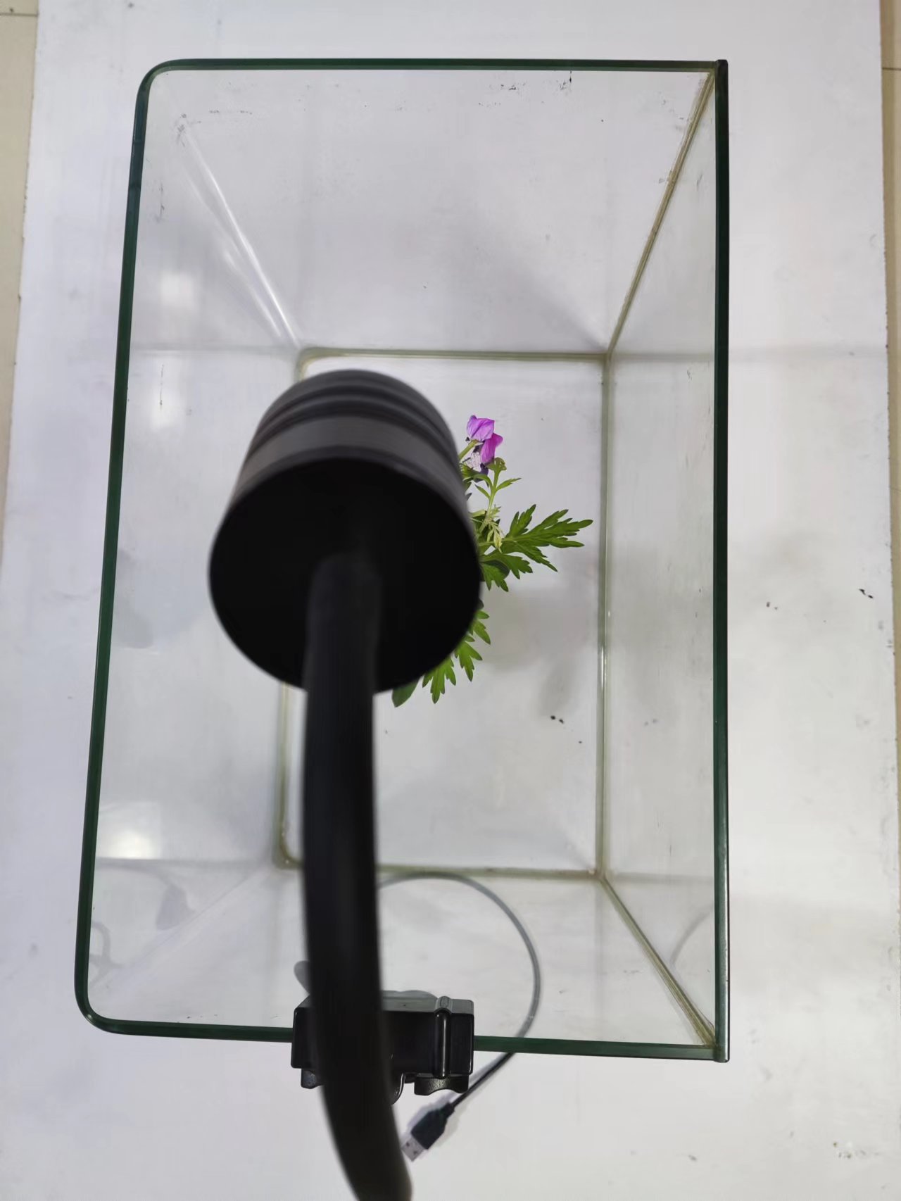 微信图片_20220517210215