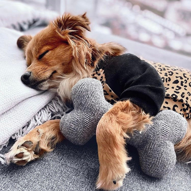 2bc40904-5219-4497-9c50-a26d99