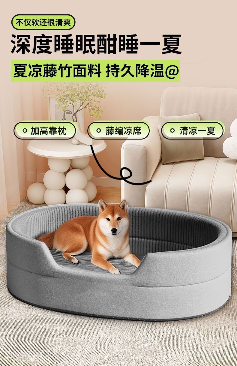 e598a8d5-ef55-461a-a26d-2cbb2d11f5e6.jpe