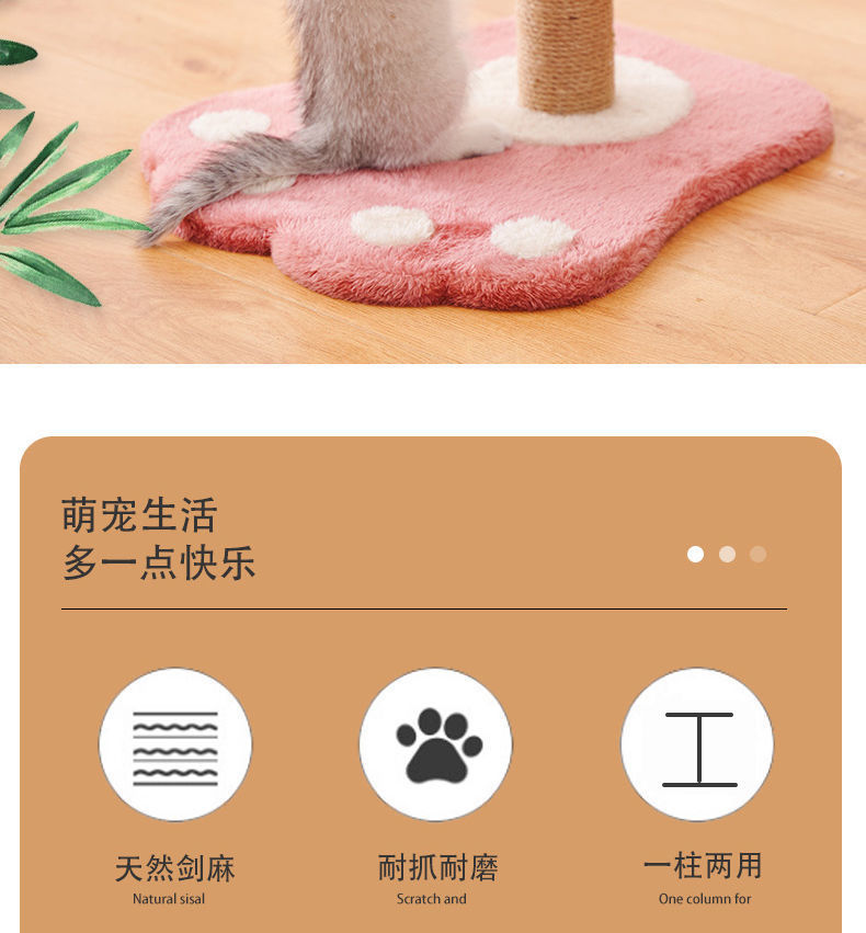 1376ffa1-daa7-4967-9800-d1fa1c3f18ef.jpe