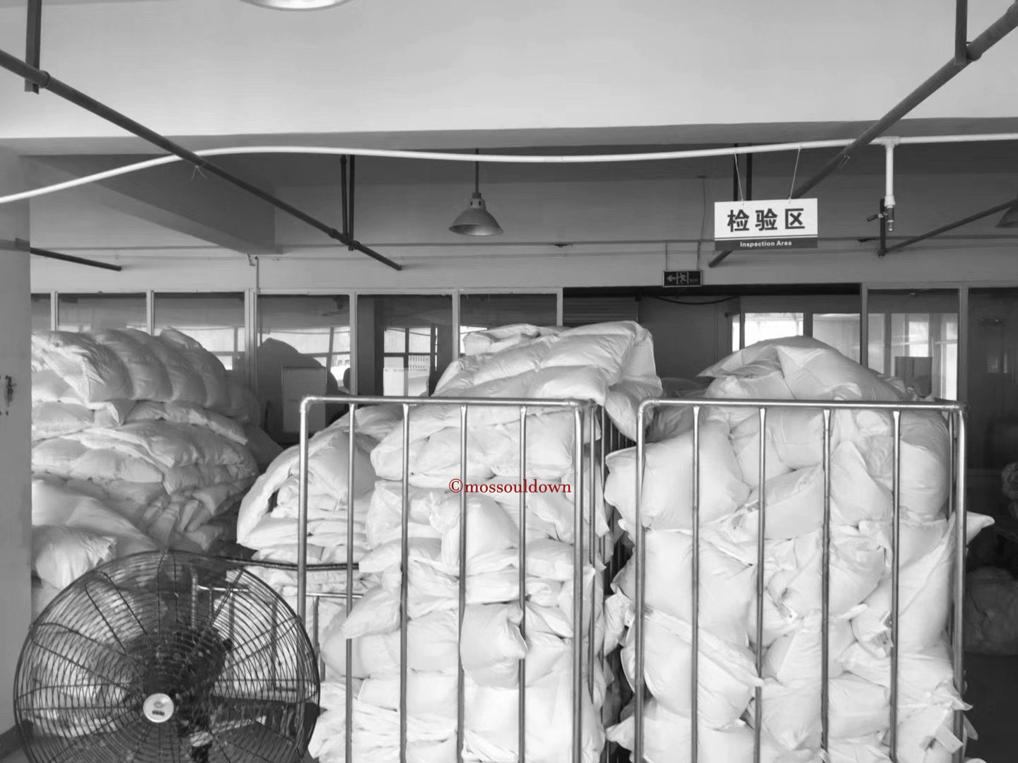 IMG_2419(20221204-091905)_副本