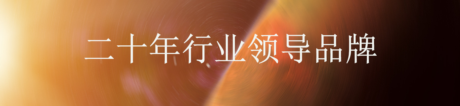 二十年品牌