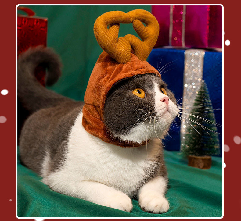 2759b19f-3f7f-404b-932a-359add99bfc9.jpe