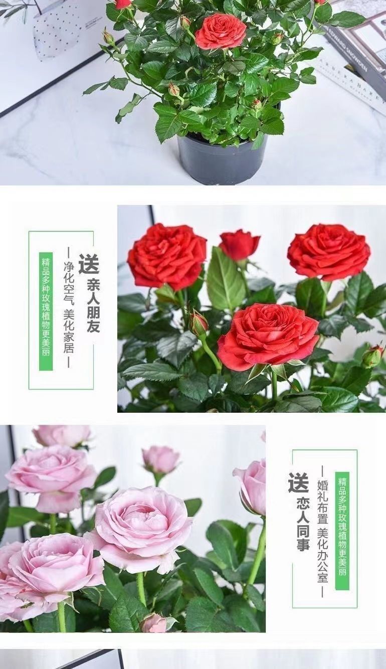dee7a543-01f0-452c-b1cc-80d07223b861.jpe