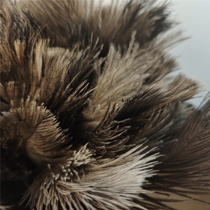 微信图片_20250410135442_副本