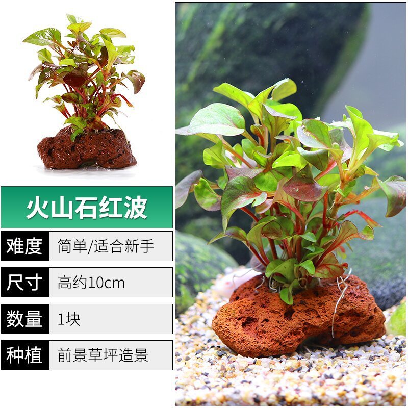 830962c9-db0b-400f-b80d-e22f778382aa.jpe