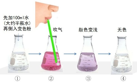 3253350cfb5e4086c8b19b5c10e846