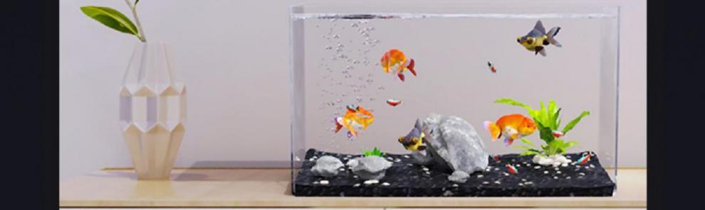 2cff2139-b5a1-4c28-882c-3668131b21ab.jpe