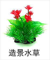 造景水草