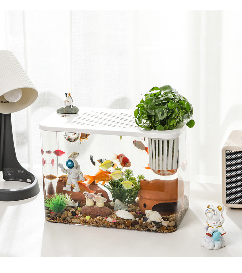 fd9c7b52-bd31-48e3-9aba-ac04ff5cb689.jpe