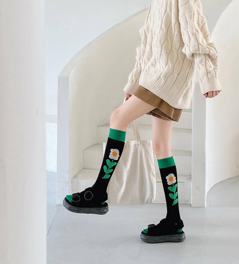 2022-08-01 121232.jpg