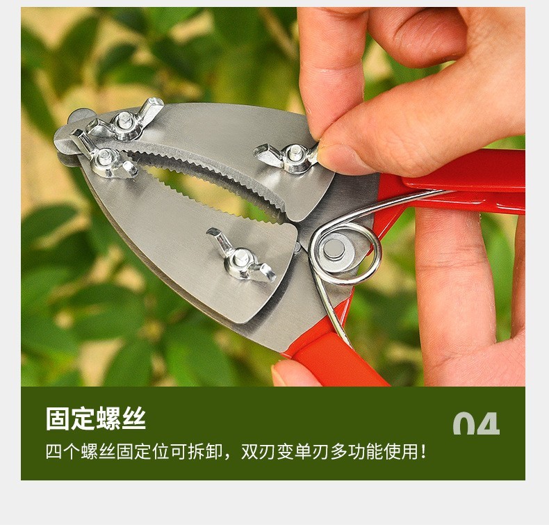 fcee3d25-7d2e-4f80-86ec-35787a591b9b.jpe