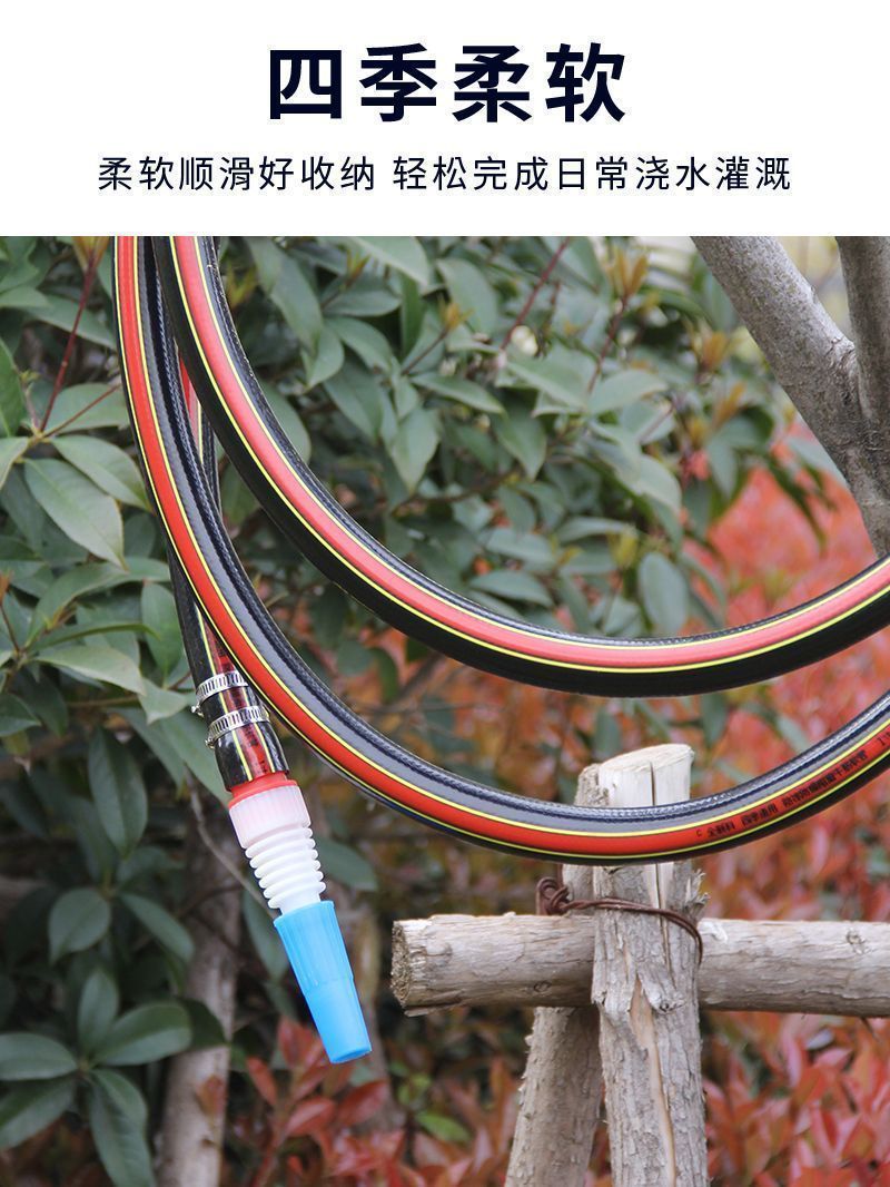 d586cbe2-a5f7-4790-a456-f30efb8c8d88.jpe