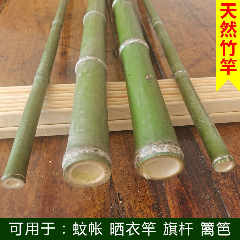 36c1a210-d641-400e-a930-de8f7b011f52.jpe