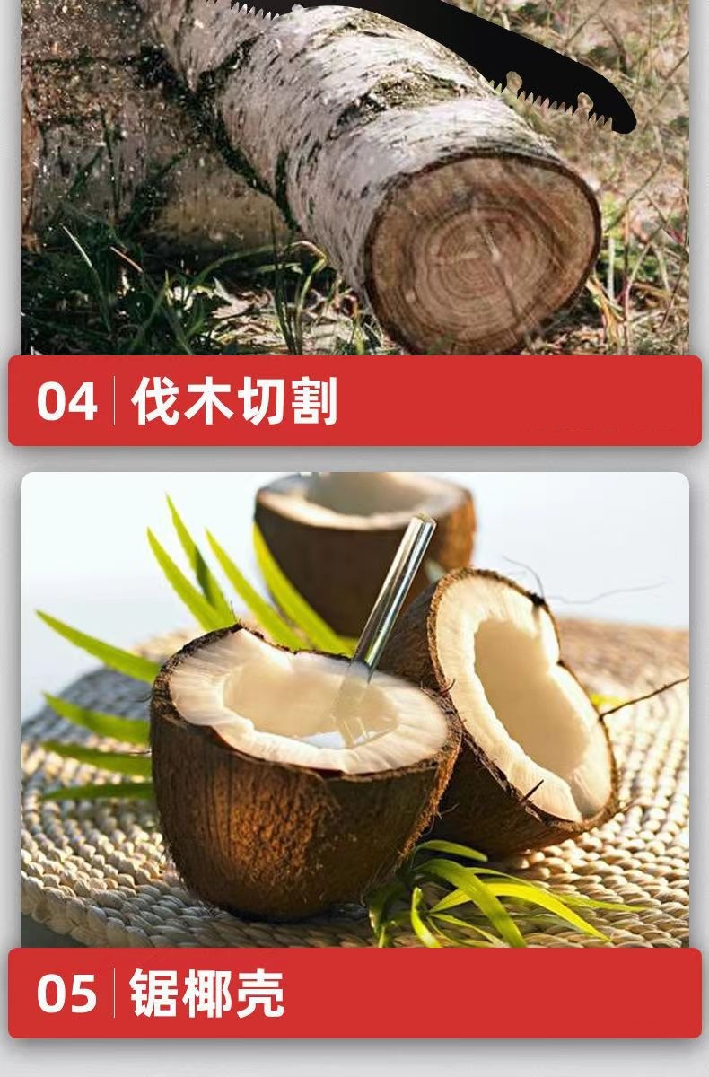 详情9