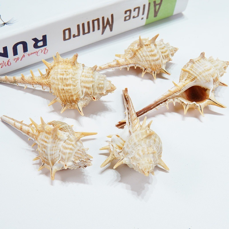 e51d20b3-58d3-4bcf-9e30-6d1d8241e3d9.jpe