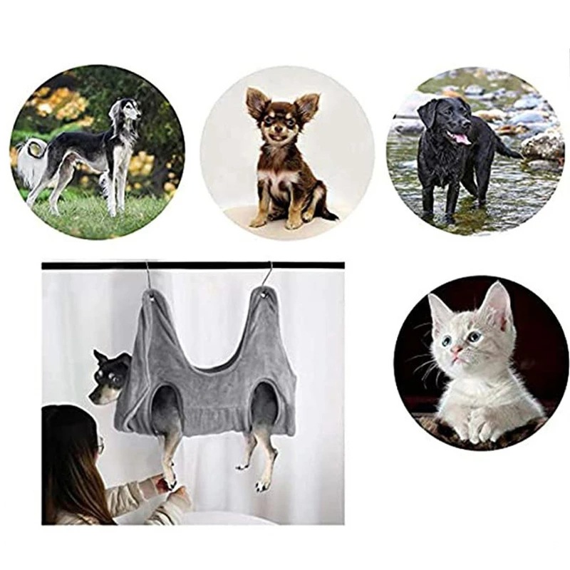 Dropshipping-Pet-Supplies-Dog-