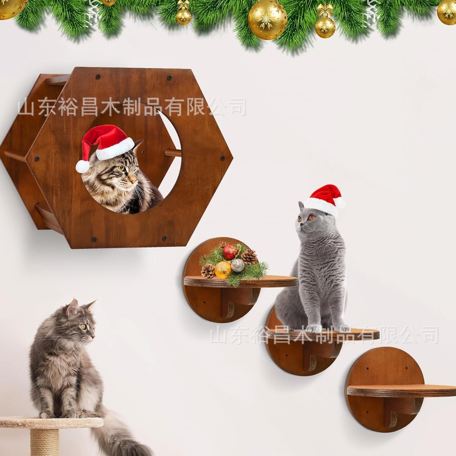 2024-09-09 18:11:46.jpg
