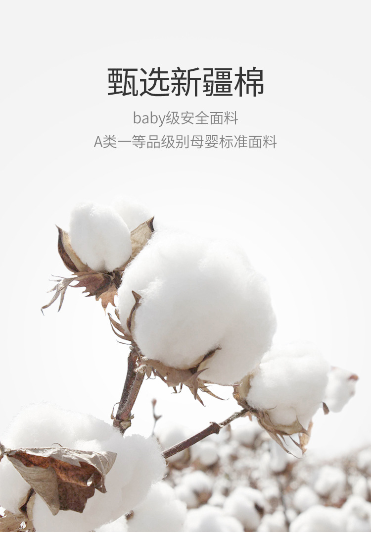 老虎_02.jpg