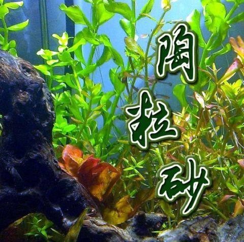 5cd5c709-ad91-48eb-bfa0-f31df02b61b6.jpe