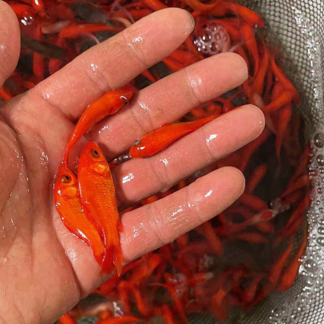 f9a5029de23a9010f5e263726dc281