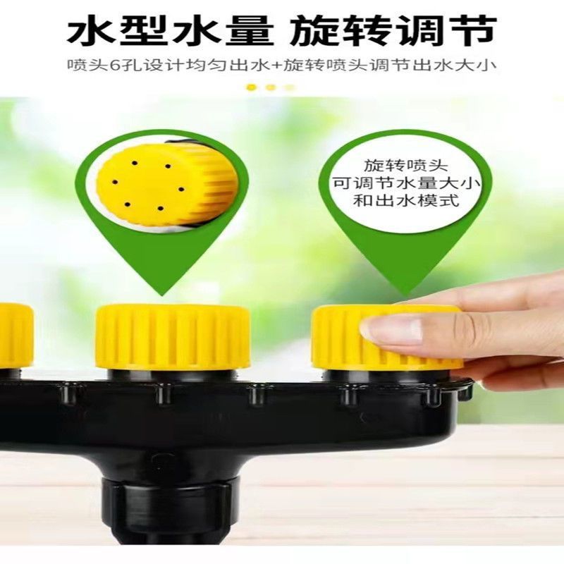 a2dc6258-5b4d-4b9a-a5f2-664a7dcb6406.jpe