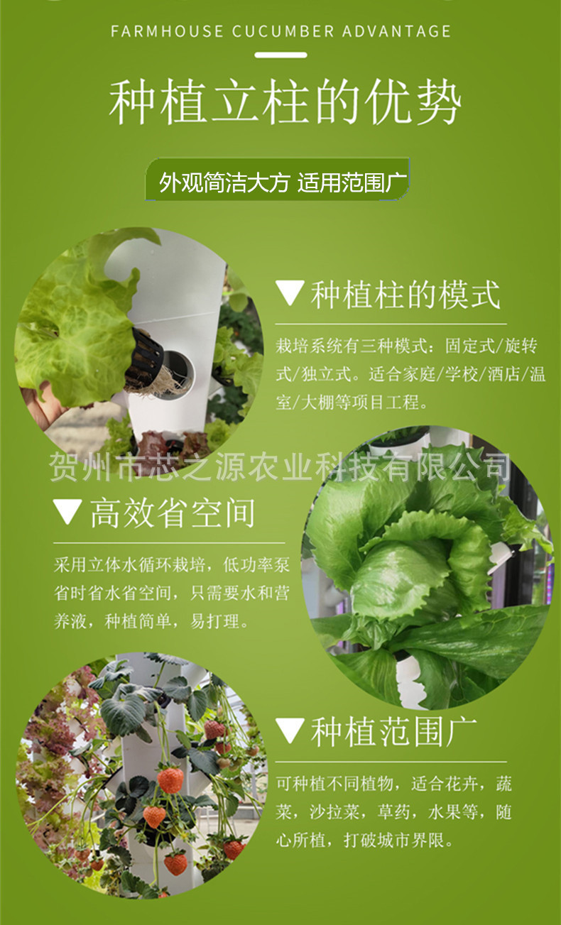 5-1_副本