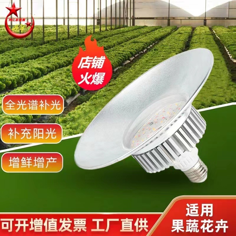 5c59ceef-db88-4e0d-8a6c-26ca4d6f8211.jpe
