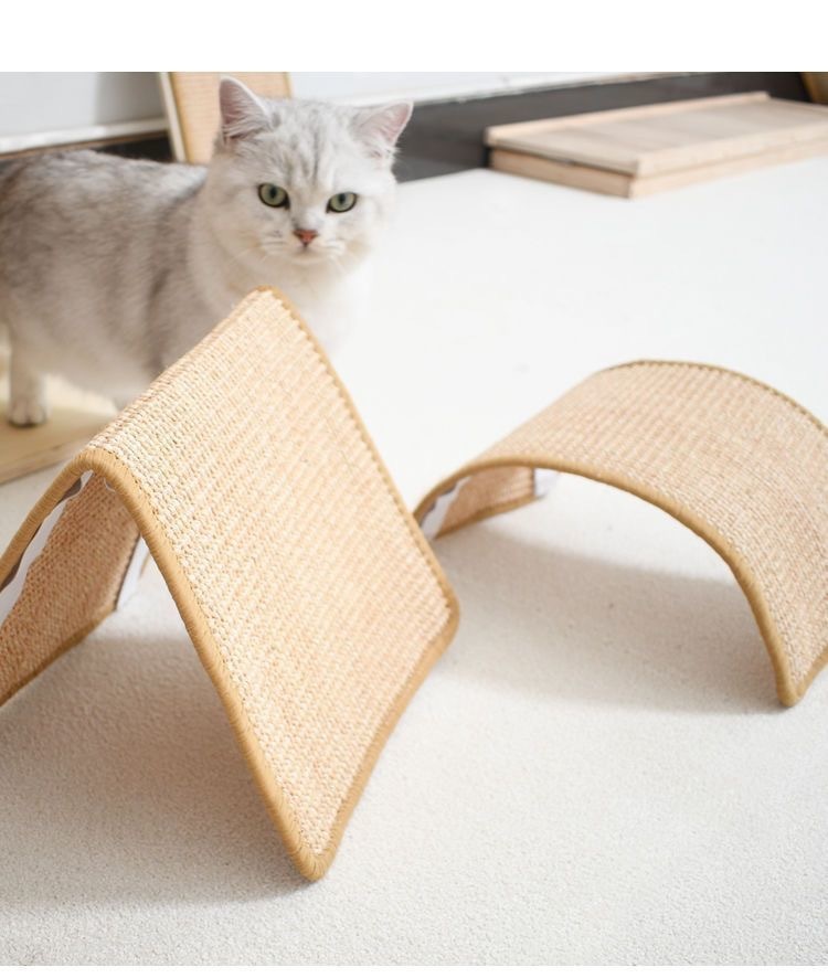 65ff8ce5-db23-4921-ac70-30daaad4c249.jpe