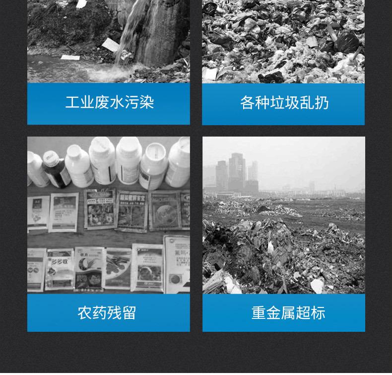 cee5d098-c634-4b51-bc5e-f7fc460d1122.jpe