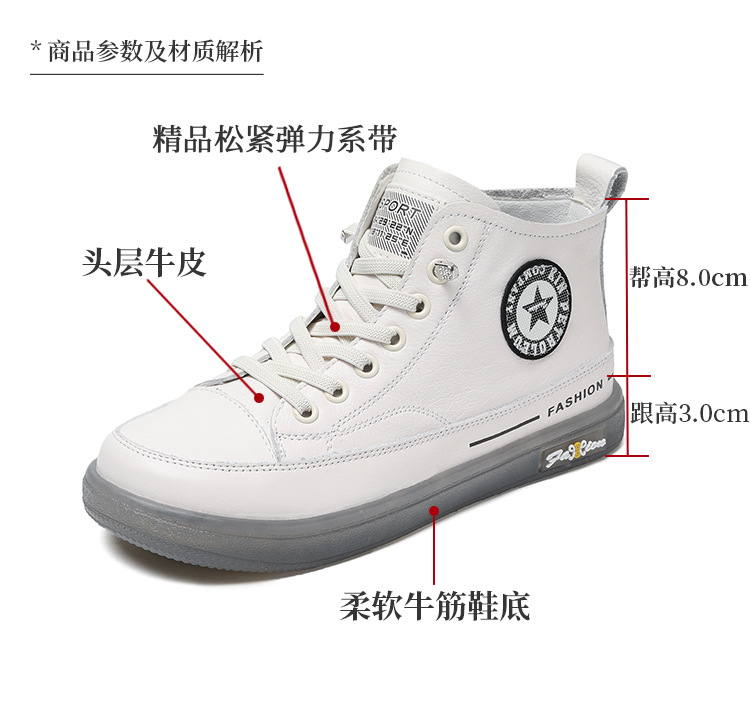 ZM22355_04.jpg