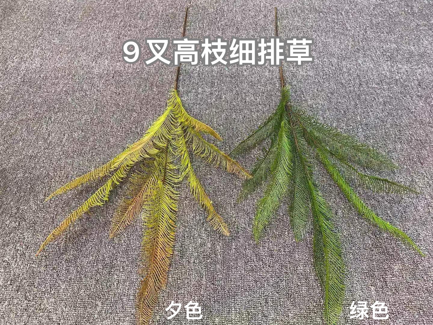 微信图片_20221105162706