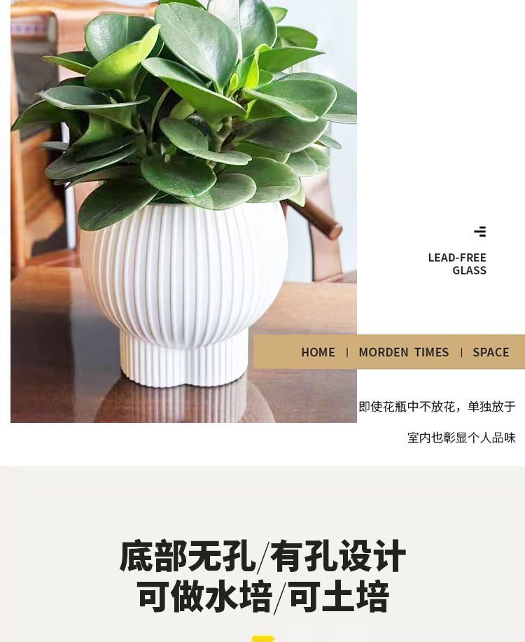 beff47f9-22f1-46bc-977c-6f09dc45ccfa.jpe