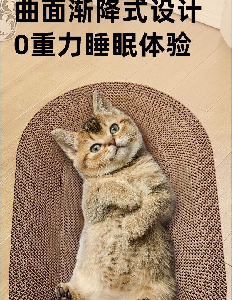 d257e5ce-a40e-44a4-ba6b-a12f92c0484b.jpe