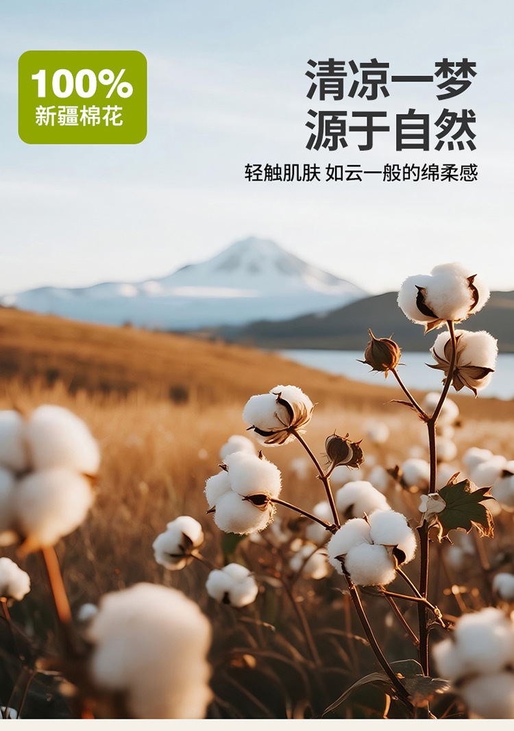 100新疆棉花夏被750_02