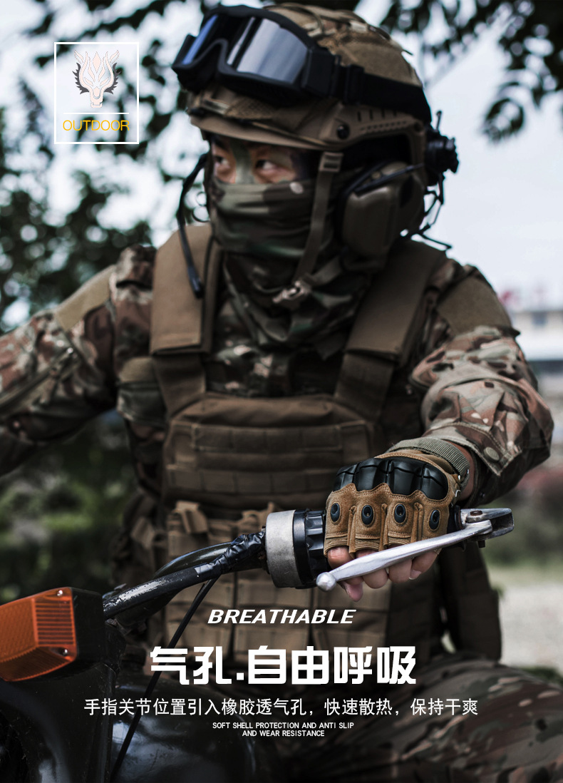 F_08.jpg