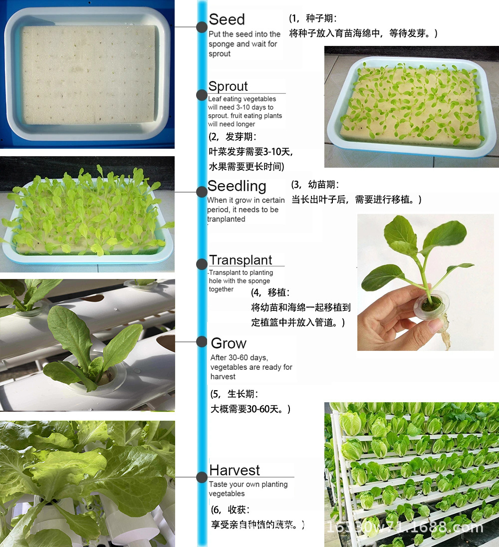 种植说明.jpg?x-oss-process=image/format,png