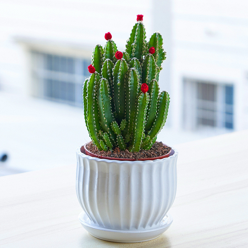 de96ed08-486a-4a52-88eb-77a1cdd8170e.jpe